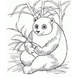 Disegno da colorare: Panda (Animali) #175205 - Pagine da Colorare Stampabili Gratuite