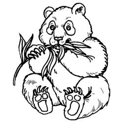 Disegno da colorare: Panda (Animali) #175214 - Pagine da Colorare Stampabili Gratuite