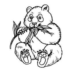 Disegno da colorare: Panda (Animali) #175216 - Pagine da Colorare Stampabili Gratuite