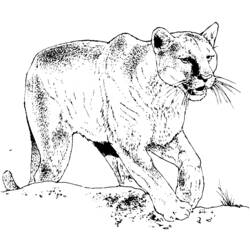 Disegno da colorare: Pantera (Animali) #15514 - Pagine da Colorare Stampabili Gratuite