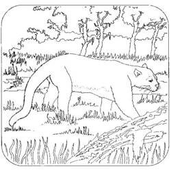 Disegno da colorare: Pantera (Animali) #15547 - Pagine da Colorare Stampabili Gratuite