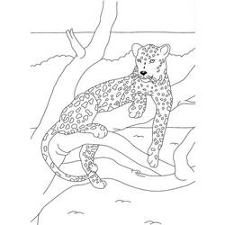 Disegno da colorare: Pantera (Animali) #15557 - Pagine da Colorare Stampabili Gratuite
