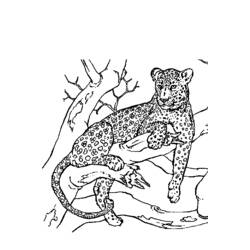 Disegno da colorare: Pantera (Animali) #15566 - Pagine da Colorare Stampabili Gratuite