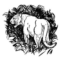 Disegno da colorare: Pantera (Animali) #15590 - Pagine da Colorare Stampabili Gratuite