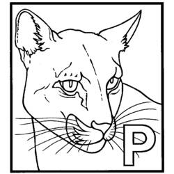 Disegno da colorare: Pantera (Animali) #15594 - Pagine da Colorare Stampabili Gratuite