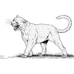 Disegno da colorare: Pantera (Animali) #15596 - Pagine da Colorare Stampabili Gratuite