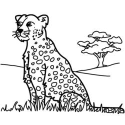 Disegno da colorare: Pantera (Animali) #15600 - Pagine da Colorare Stampabili Gratuite