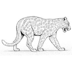 Disegno da colorare: Pantera (Animali) #15617 - Pagine da Colorare Stampabili Gratuite