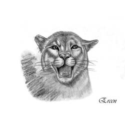 Disegno da colorare: Pantera (Animali) #15650 - Pagine da Colorare Stampabili Gratuite