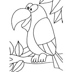 Disegno da colorare: Pappagallo (Animali) #16079 - Pagine da Colorare Stampabili Gratuite