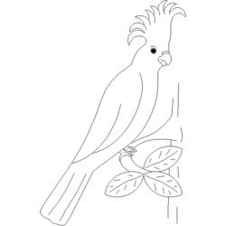 Disegno da colorare: Pappagallo (Animali) #16092 - Pagine da Colorare Stampabili Gratuite