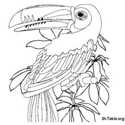 Disegno da colorare: Pappagallo (Animali) #16121 - Pagine da Colorare Stampabili Gratuite