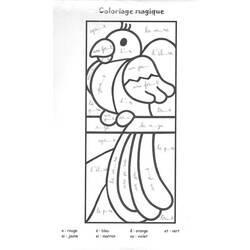 Disegno da colorare: Pappagallo (Animali) #16179 - Pagine da Colorare Stampabili Gratuite
