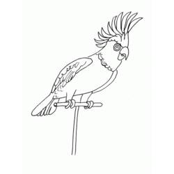 Disegno da colorare: Pappagallo (Animali) #16233 - Pagine da Colorare Stampabili Gratuite