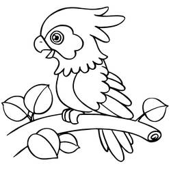 Disegno da colorare: Pappagallo (Animali) #179071 - Pagine da Colorare Stampabili Gratuite