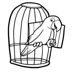 Disegno da colorare: Pappagallo (Animali) #179075 - Pagine da Colorare Stampabili Gratuite