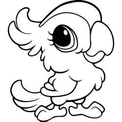 Disegno da colorare: Pappagallo (Animali) #179083 - Pagine da Colorare Stampabili Gratuite