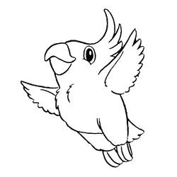 Disegno da colorare: Pappagallo (Animali) #179088 - Pagine da Colorare Stampabili Gratuite