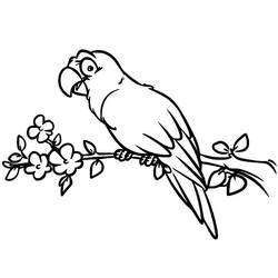 Disegno da colorare: Pappagallo (Animali) #179089 - Pagine da Colorare Stampabili Gratuite