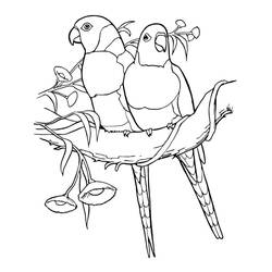 Disegno da colorare: Pappagallo (Animali) #179091 - Pagine da Colorare Stampabili Gratuite