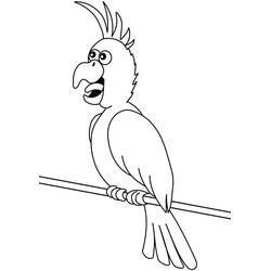 Disegno da colorare: Pappagallo (Animali) #179095 - Pagine da Colorare Stampabili Gratuite