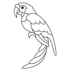 Disegno da colorare: Pappagallo (Animali) #179096 - Pagine da Colorare Stampabili Gratuite
