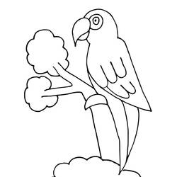 Disegno da colorare: Pappagallo (Animali) #179100 - Pagine da Colorare Stampabili Gratuite