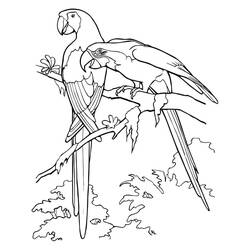 Disegno da colorare: Pappagallo (Animali) #179102 - Pagine da Colorare Stampabili Gratuite