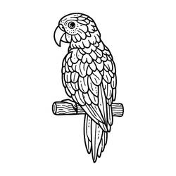 Disegno da colorare: Pappagallo (Animali) #217779 - Pagine da Colorare Stampabili Gratuite
