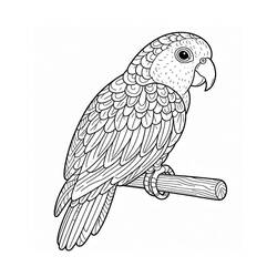 Disegno da colorare: Pappagallo (Animali) #217780 - Pagine da Colorare Stampabili Gratuite