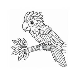 Disegno da colorare: Pappagallo (Animali) #217781 - Pagine da Colorare Stampabili Gratuite