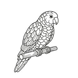 Disegno da colorare: Pappagallo (Animali) #217782 - Pagine da Colorare Stampabili Gratuite