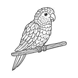 Disegno da colorare: Pappagallo (Animali) #217783 - Pagine da Colorare Stampabili Gratuite