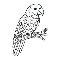 Disegno da colorare: Pappagallo (Animali) #217784 - Pagine da Colorare Stampabili Gratuite
