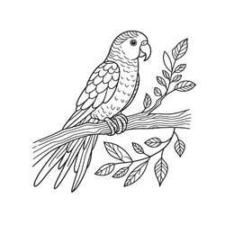 Disegno da colorare: Pappagallo (Animali) #217785 - Pagine da Colorare Stampabili Gratuite
