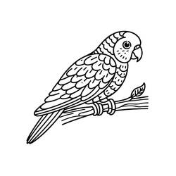 Disegno da colorare: Pappagallo (Animali) #217786 - Pagine da Colorare Stampabili Gratuite