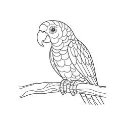 Disegno da colorare: Pappagallo (Animali) #217791 - Pagine da Colorare Stampabili Gratuite