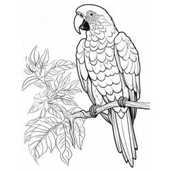 Disegno da colorare: Pappagallo (Animali) #217792 - Pagine da Colorare Stampabili Gratuite
