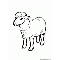 Disegno da colorare: Pecora (Animali) #11409 - Pagine da Colorare Stampabili Gratuite