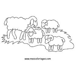 Disegno da colorare: Pecora (Animali) #11414 - Pagine da Colorare Stampabili Gratuite