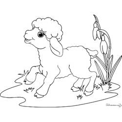 Disegno da colorare: Pecora (Animali) #11422 - Pagine da Colorare Stampabili Gratuite