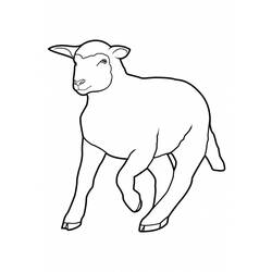 Disegno da colorare: Pecora (Animali) #11428 - Pagine da Colorare Stampabili Gratuite