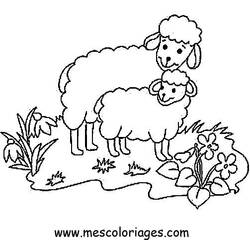 Disegno da colorare: Pecora (Animali) #11436 - Pagine da Colorare Stampabili Gratuite