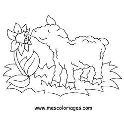 Disegno da colorare: Pecora (Animali) #11458 - Pagine da Colorare Stampabili Gratuite