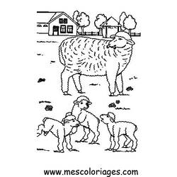 Disegno da colorare: Pecora (Animali) #11474 - Pagine da Colorare Stampabili Gratuite