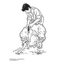 Disegno da colorare: Pecora (Animali) #11511 - Pagine da Colorare Stampabili Gratuite