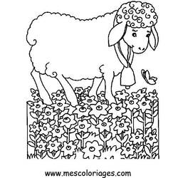 Disegno da colorare: Pecora (Animali) #11533 - Pagine da Colorare Stampabili Gratuite