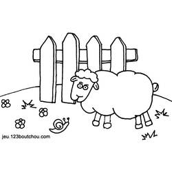 Disegno da colorare: Pecora (Animali) #11539 - Pagine da Colorare Stampabili Gratuite