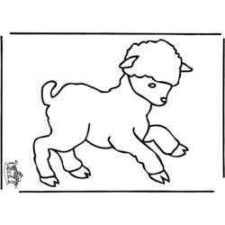 Disegno da colorare: Pecora (Animali) #11559 - Pagine da Colorare Stampabili Gratuite