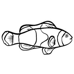 Disegno da colorare: Pescare (Animali) #17021 - Pagine da Colorare Stampabili Gratuite